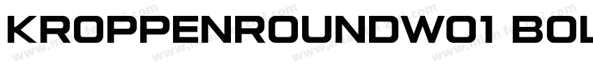 KroppenRoundW01 Bold Regular字体转换